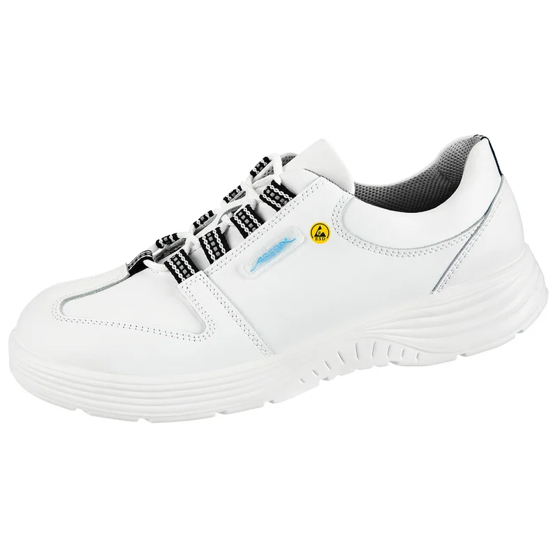 shop.doenges-rs2-289566