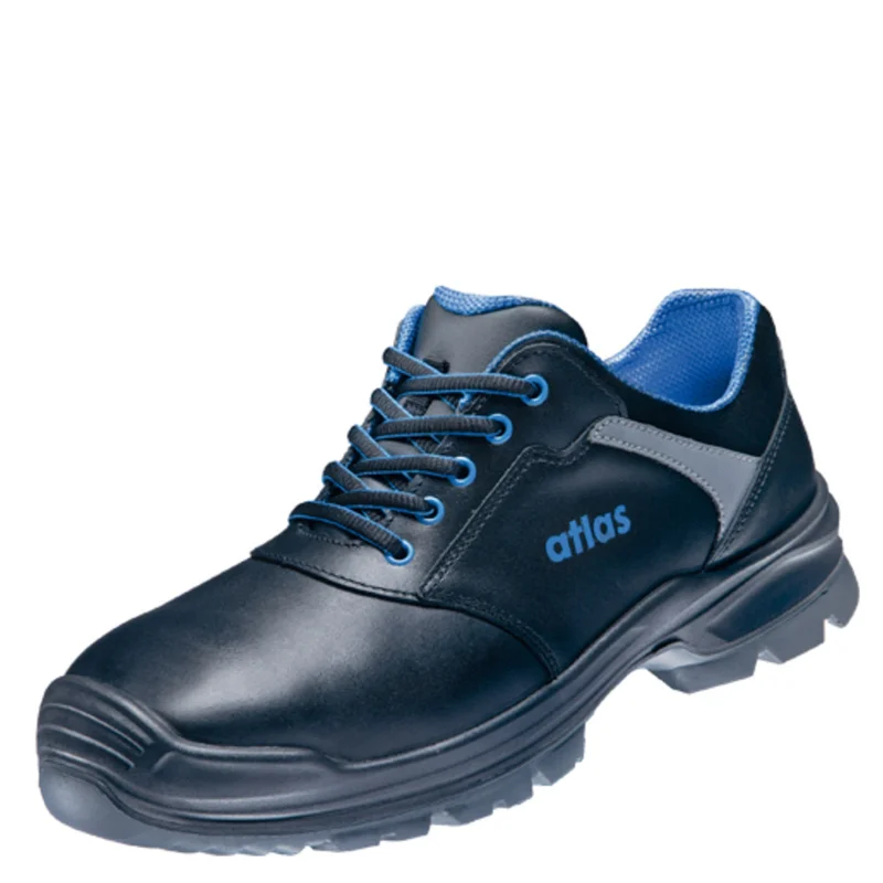 shop.doenges-rs2-289608