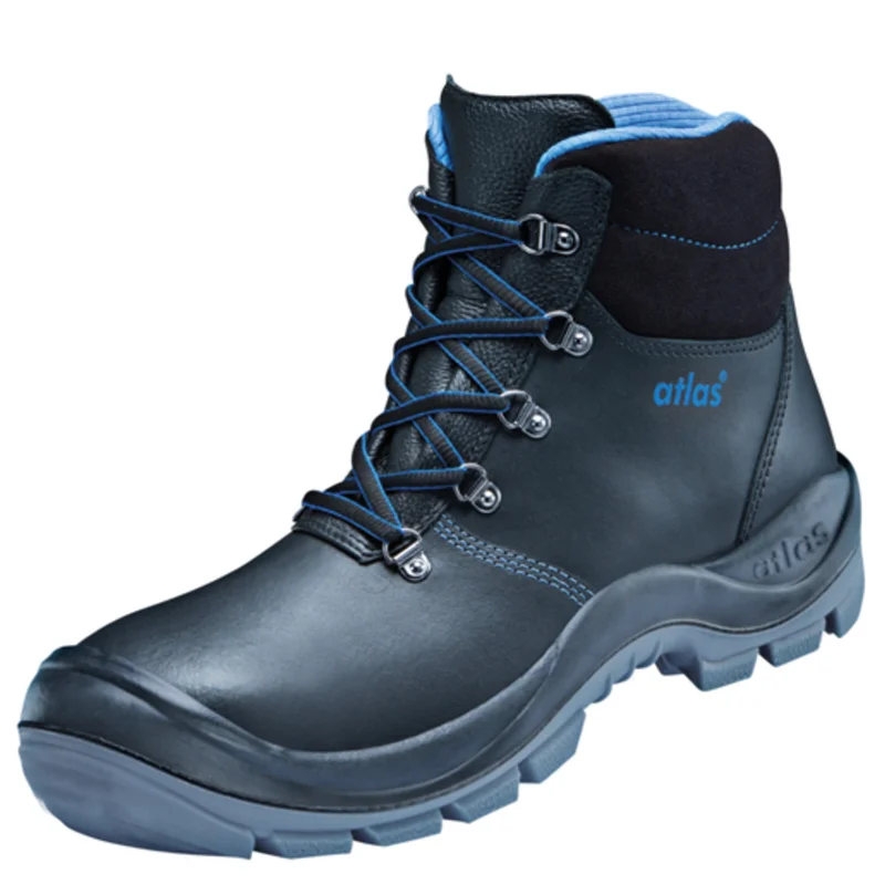 shop.doenges-rs2-290008