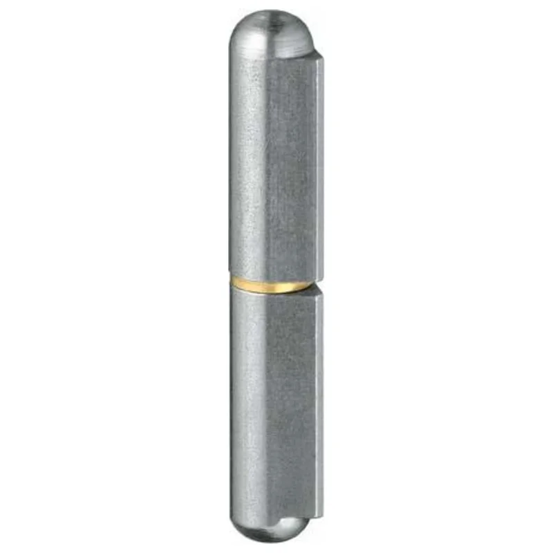 shop.doenges-rs2-291585