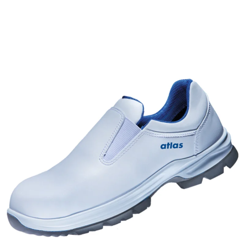 shop.doenges-rs2-293470