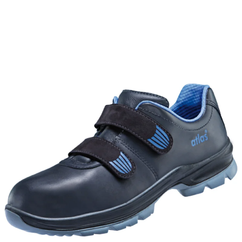 shop.doenges-rs2-293921