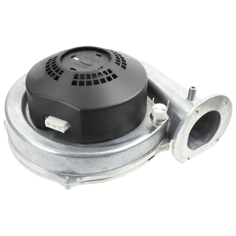 shop.doenges-rs2-295108