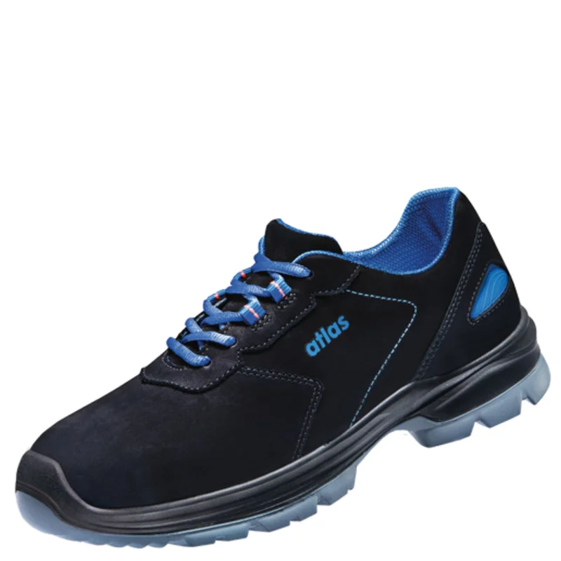 shop.doenges-rs2-295284