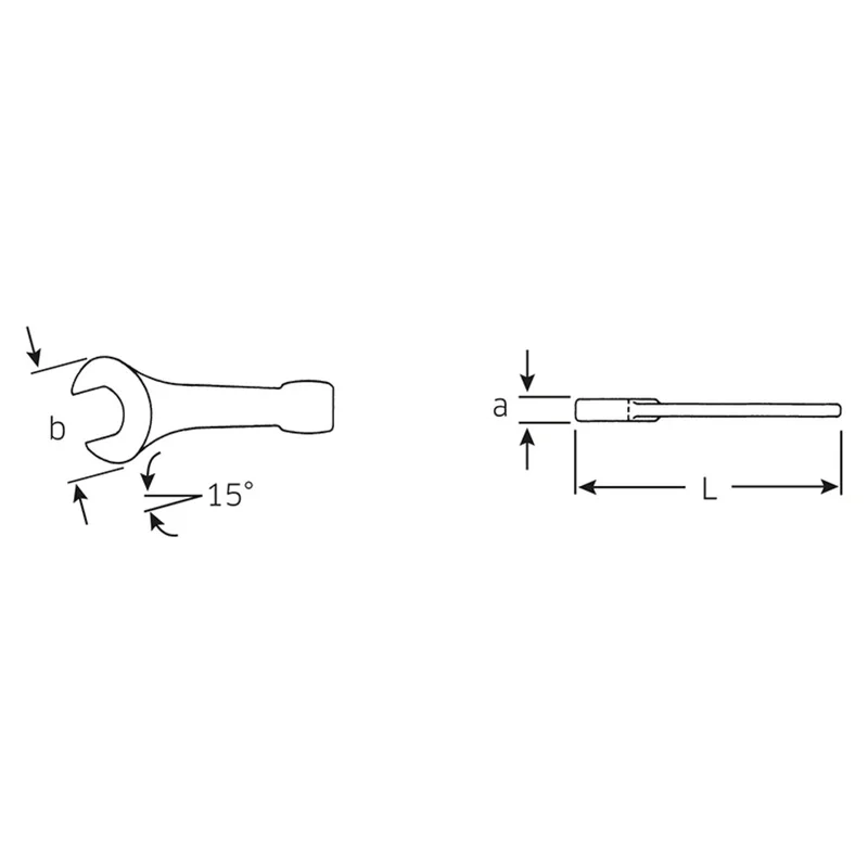 shop.doenges-rs2-297701