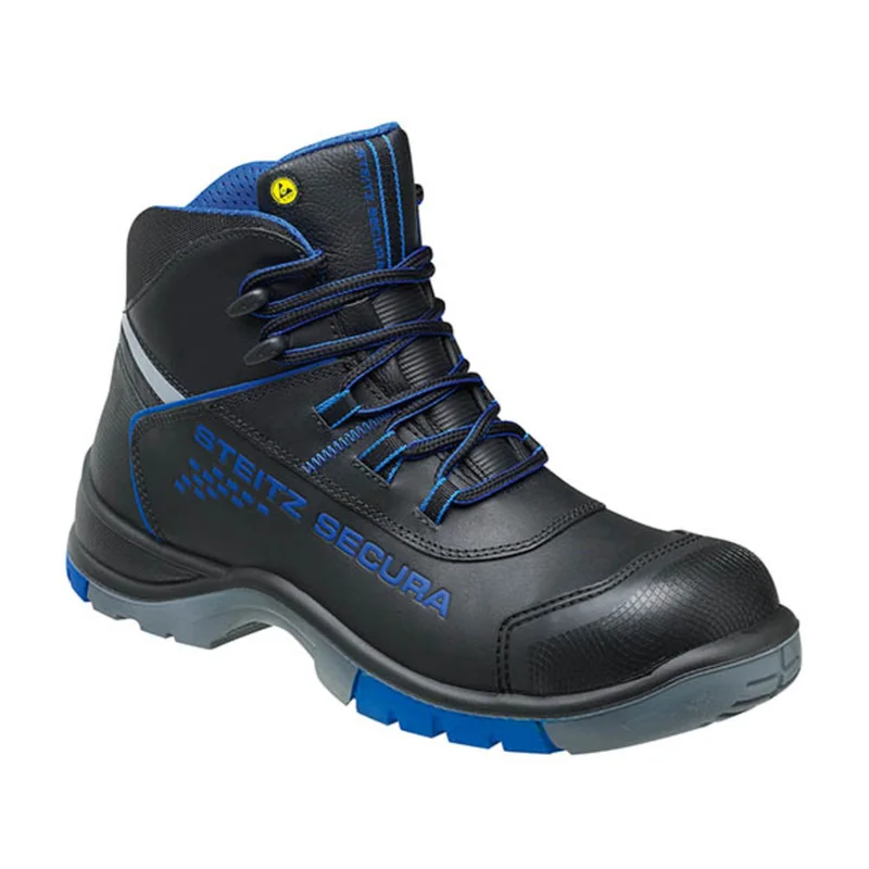 shop.doenges-rs2-300831