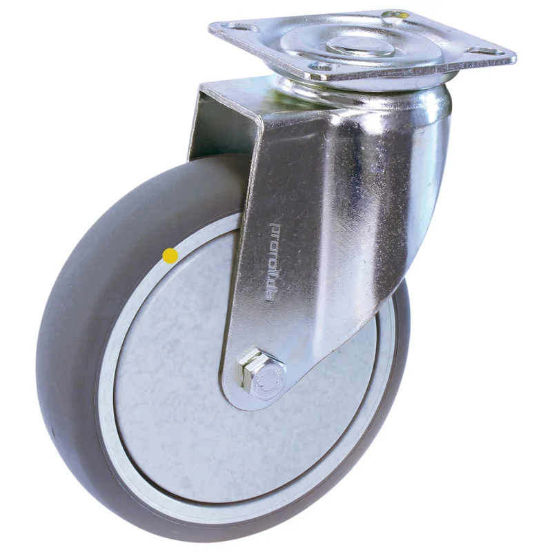 shop.doenges-rs2-308579
