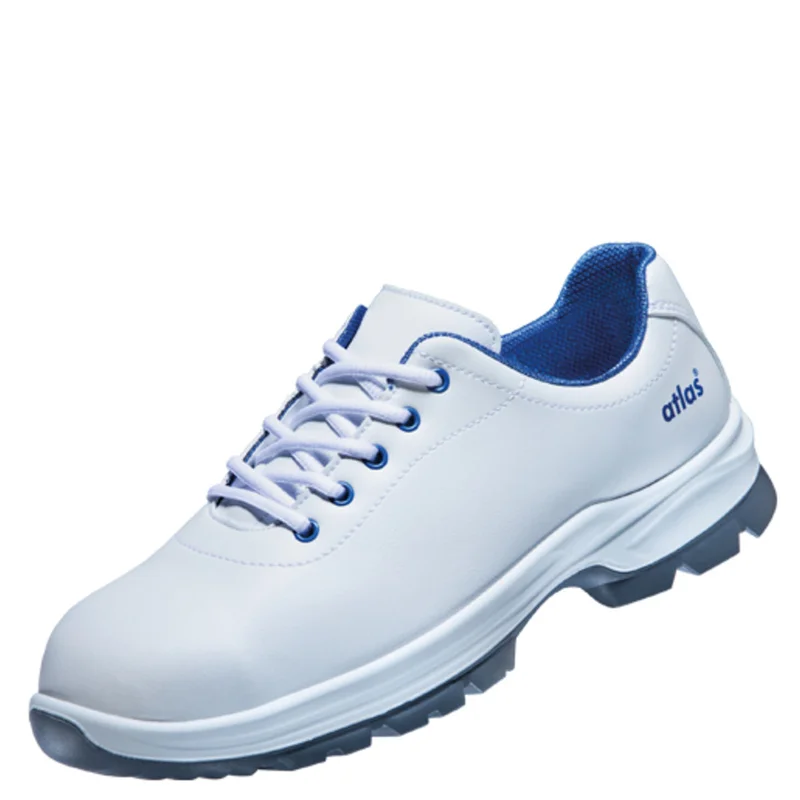 shop.doenges-rs2-309086