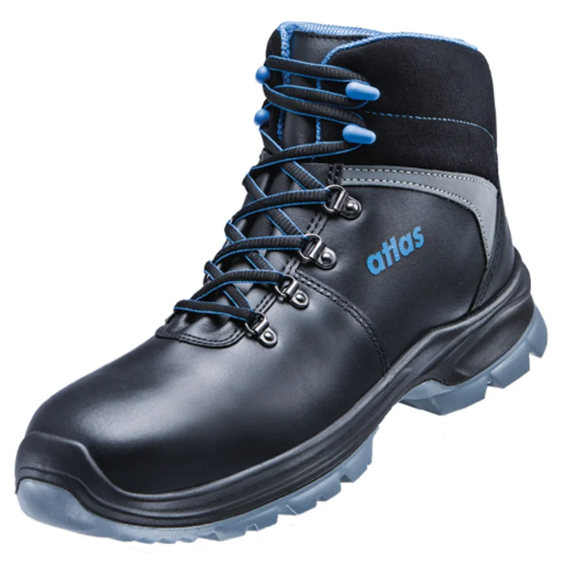 shop.doenges-rs2-322897