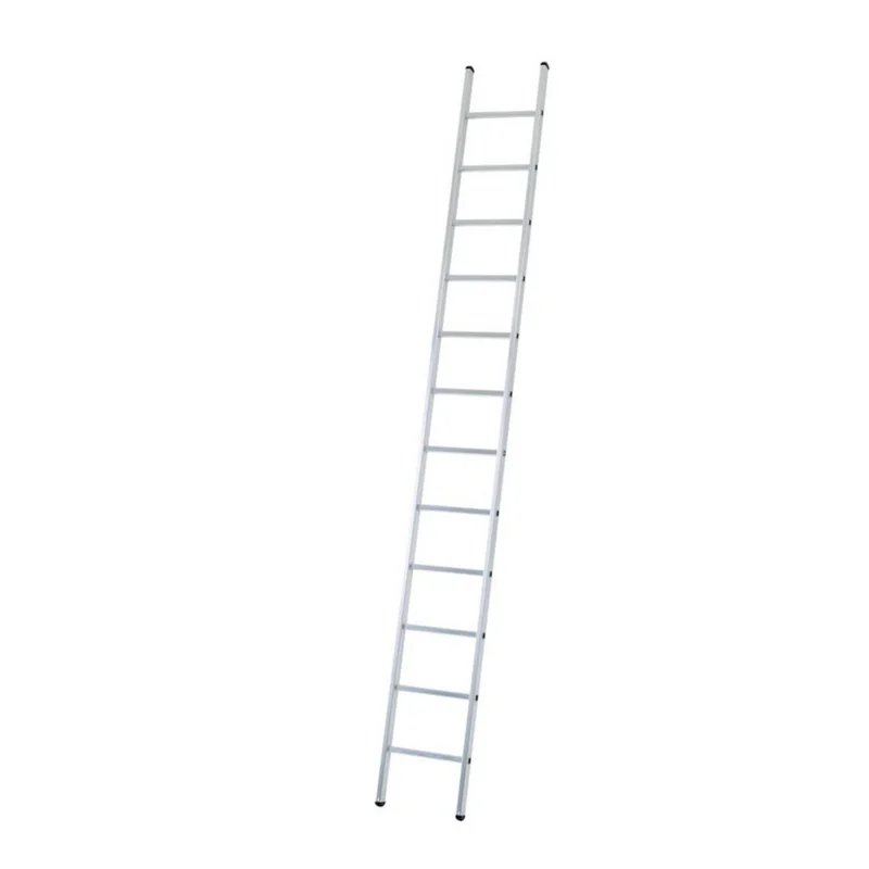 shop.doenges-rs2-365650