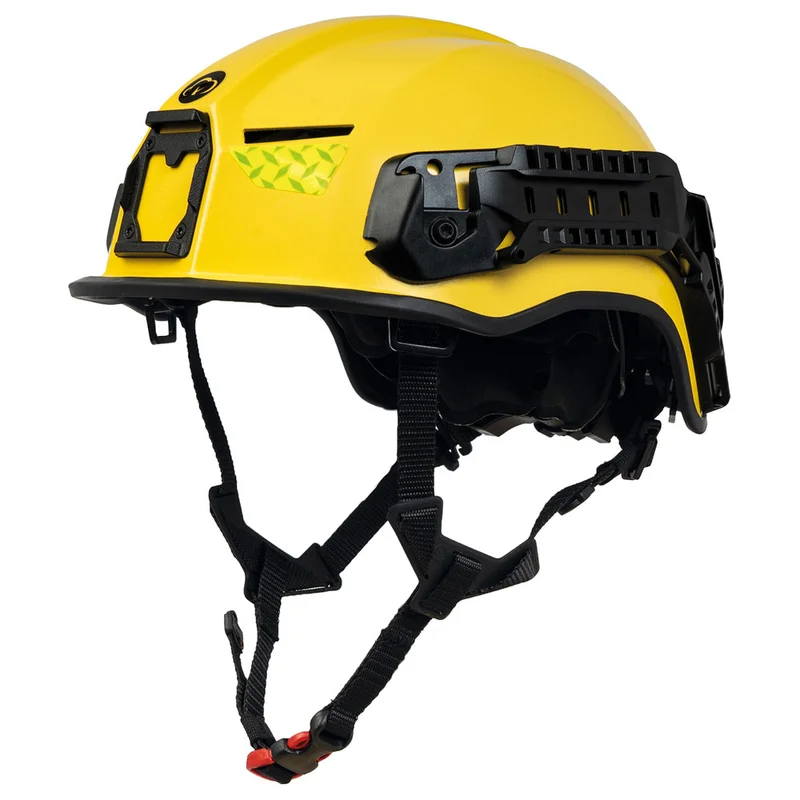 shop.doenges-rs2-381888