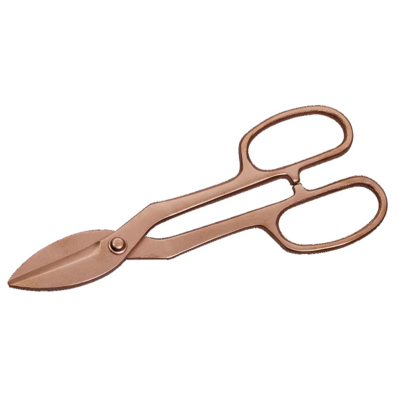 shop.doenges-rs2-382744