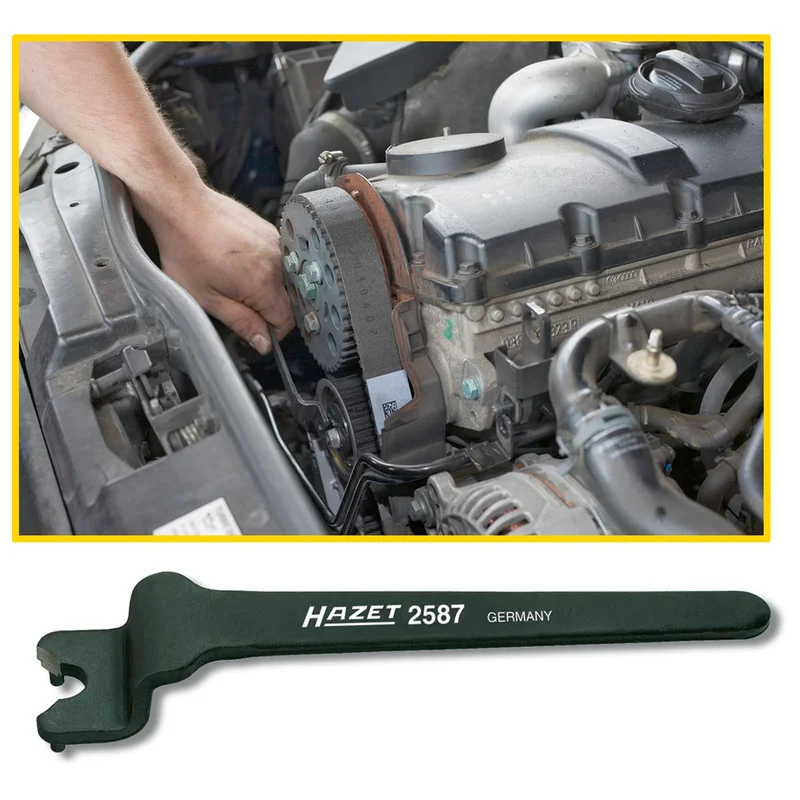 shop.doenges-rs2-385789
