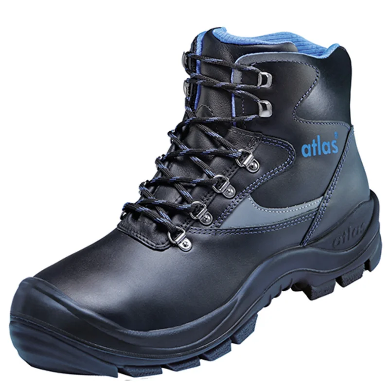 shop.doenges-rs2-386892