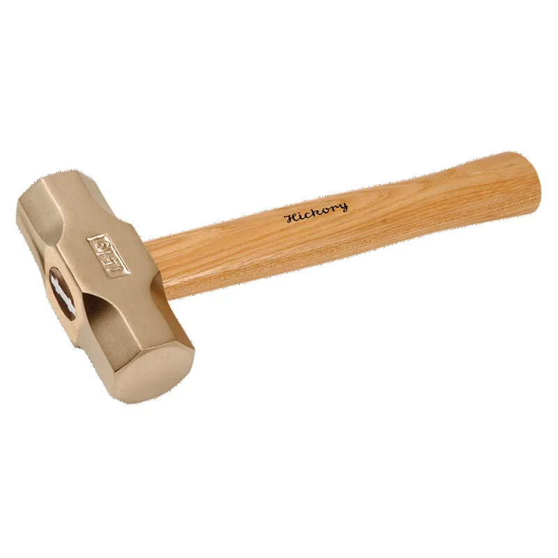 shop.doenges-rs2-387790