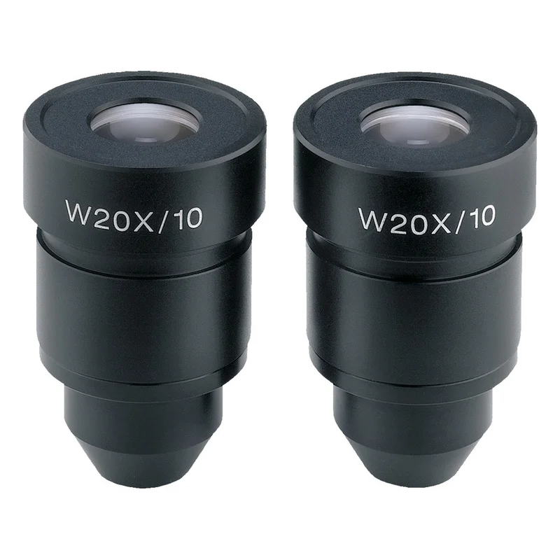 shop.doenges-rs2-389697