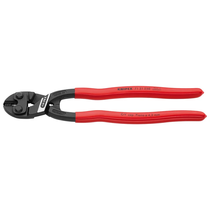 shop.doenges-rs2-390674