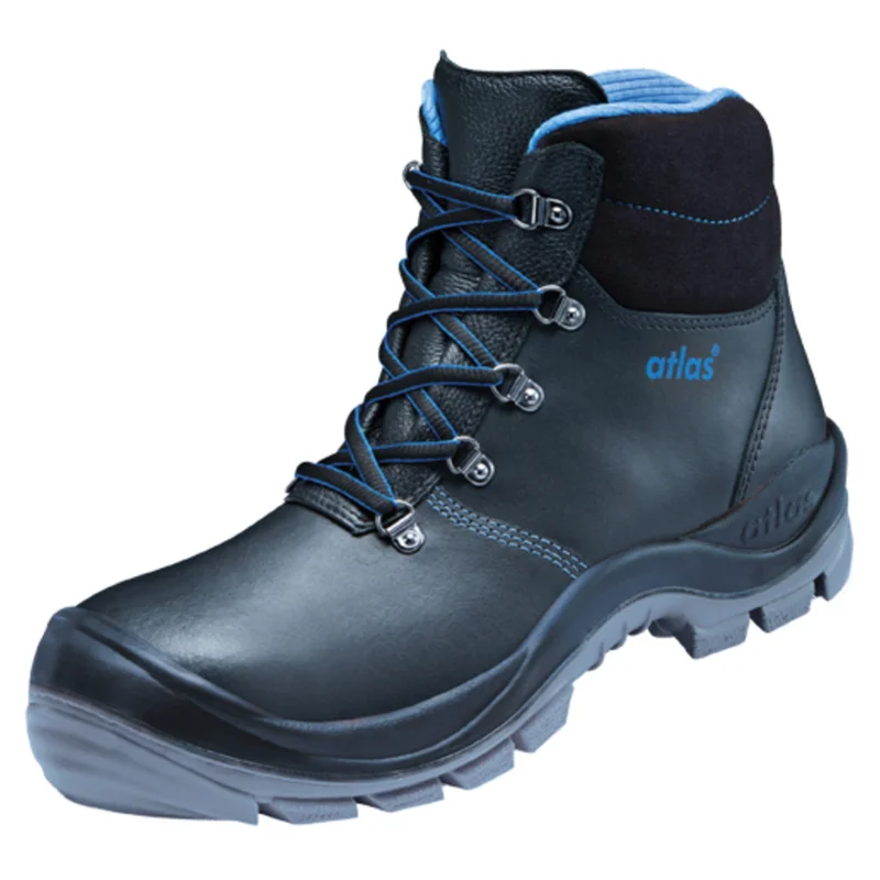 shop.doenges-rs2-392614