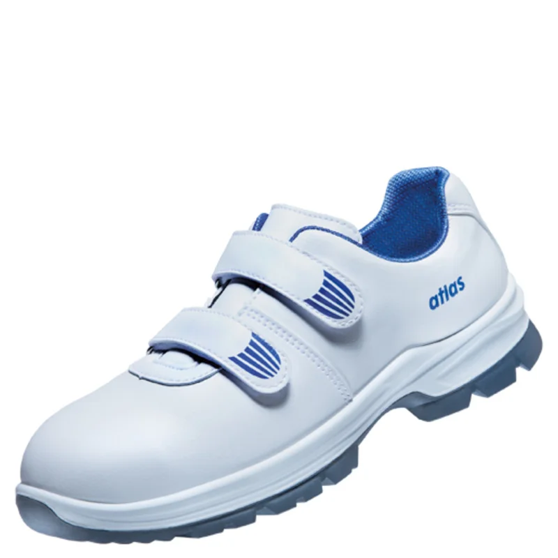 shop.doenges-rs2-395418