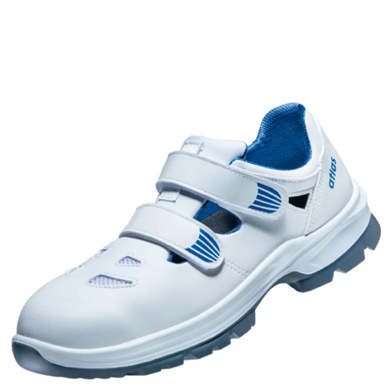 shop.doenges-rs2-395480