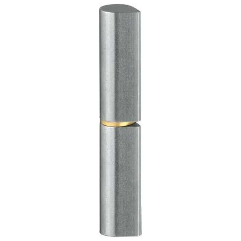 shop.doenges-rs2-396803