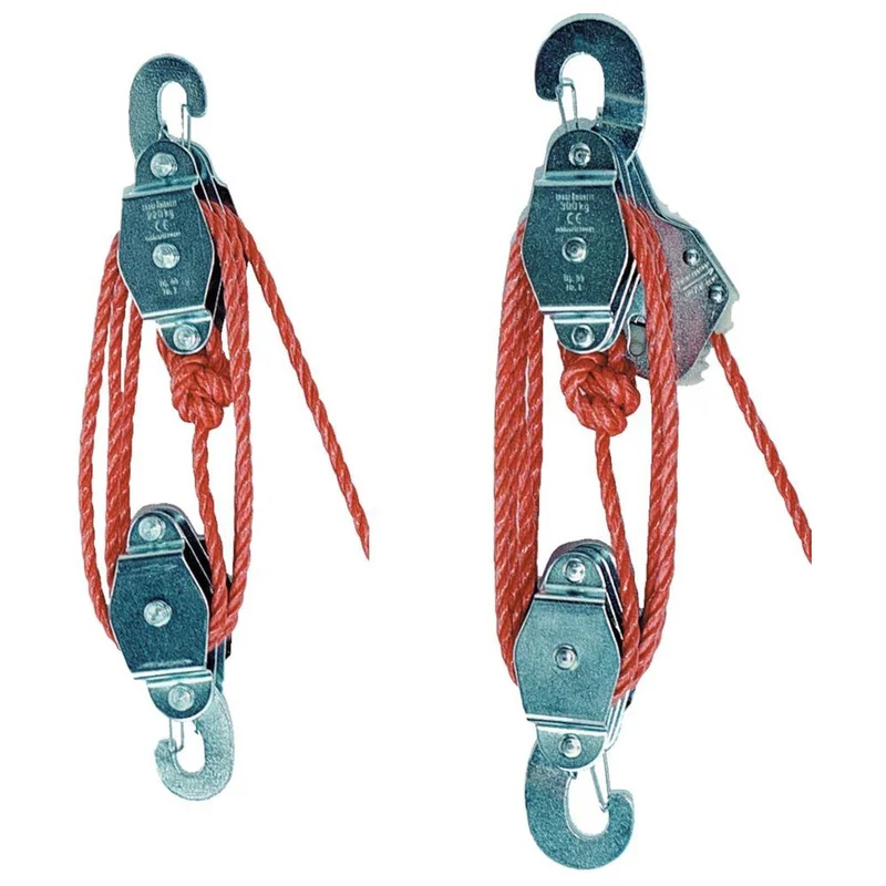 shop.doenges-rs2-399712