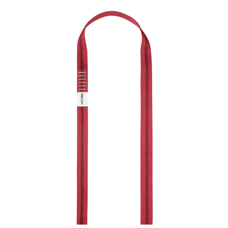 shop.doenges-rs2-405498