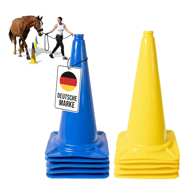 shop.doenges-rs2-405524
