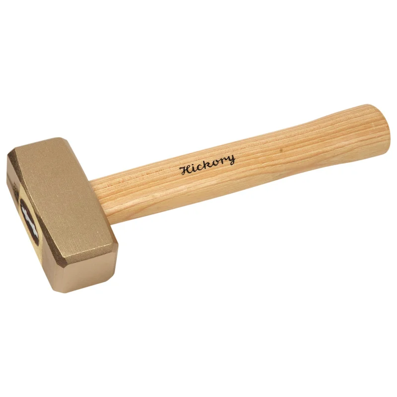 shop.doenges-rs2-409019