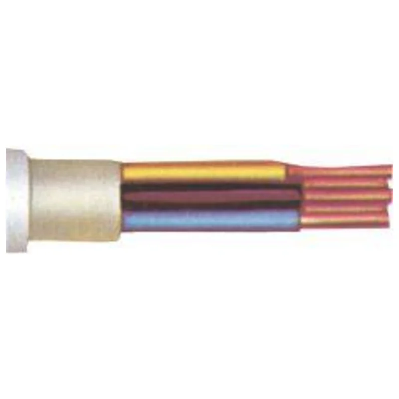 shop.doenges-rs2-414733