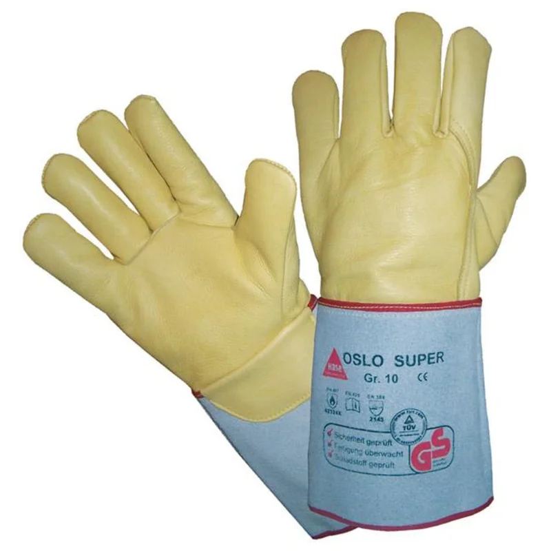 shop.doenges-rs2-415414