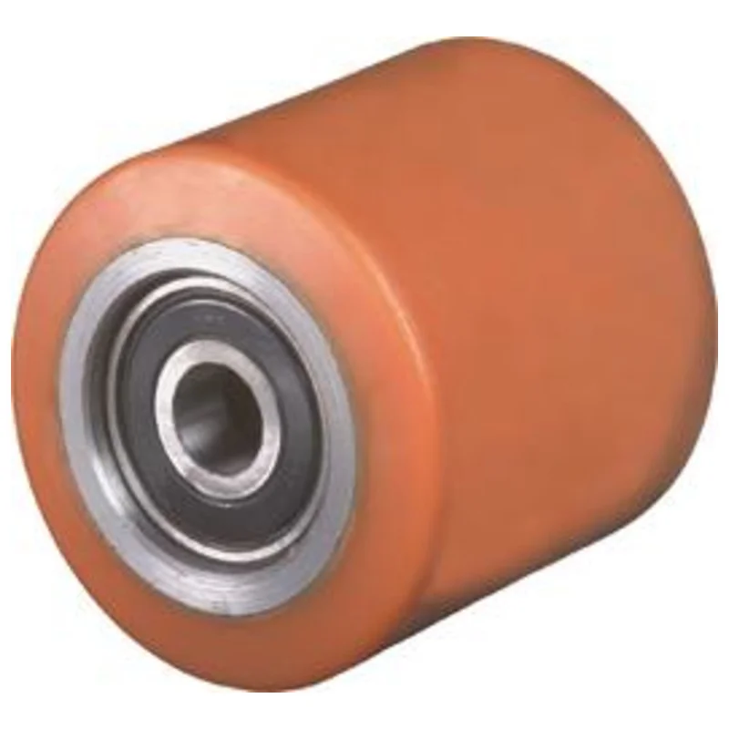 shop.doenges-rs2-416331