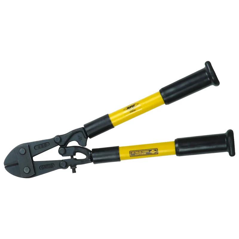 shop.doenges-rs2-419753