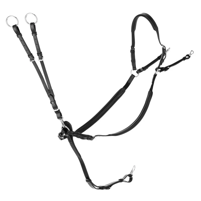shop.doenges-rs2-433603