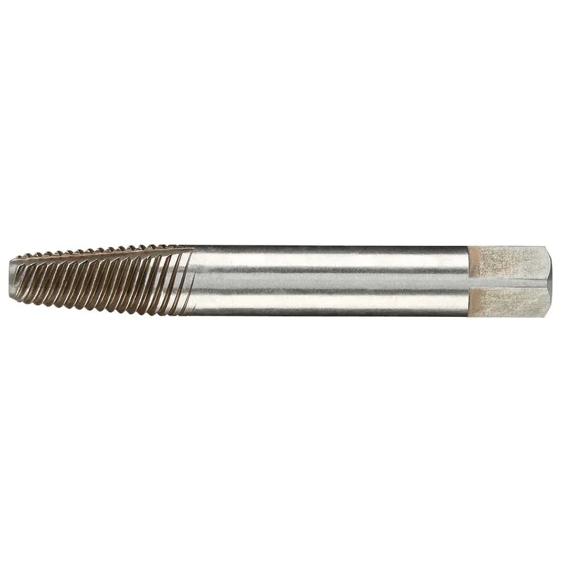 shop.doenges-rs2-433729