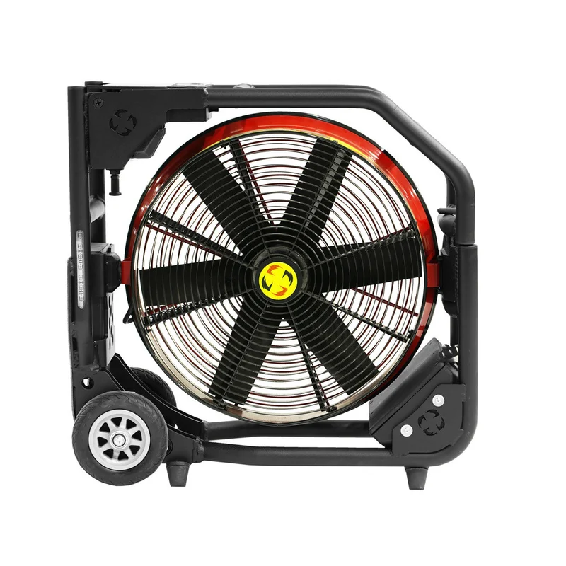 shop.doenges-rs2-434493