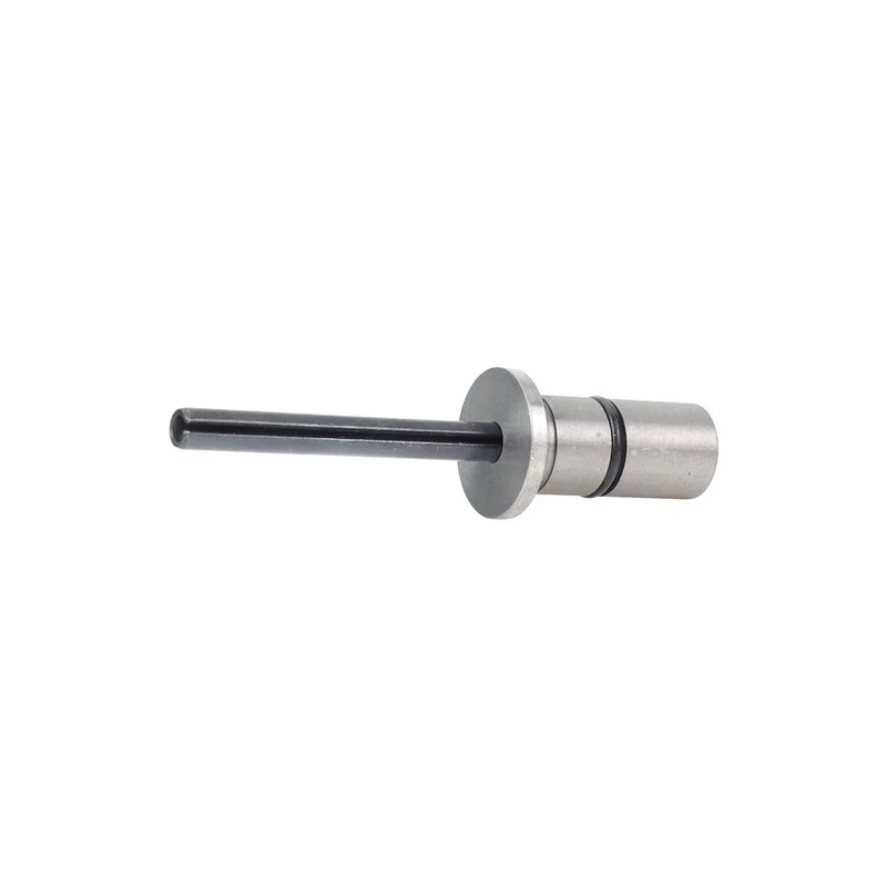shop.doenges-rs2-434740