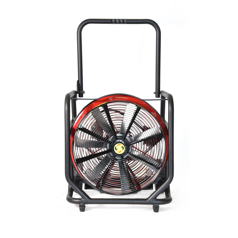 shop.doenges-rs2-434805