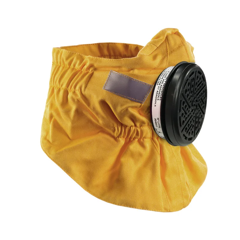 shop.doenges-rs2-434947