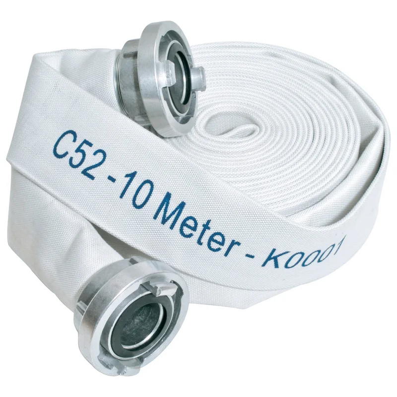 shop.doenges-rs2-441691